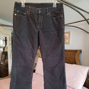 Polo/Ralph Lauren Dark Gray Corduroy Pants, Size 8
